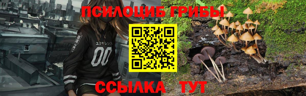 Галлюциногенные грибы GOLDEN TEACHER Майкоп