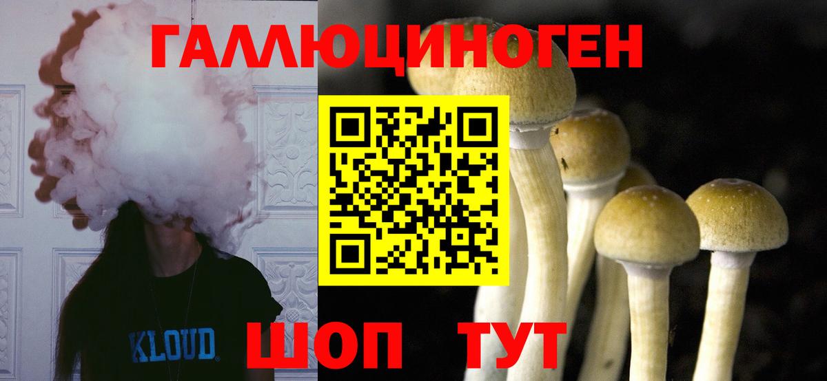 Галлюциногенные грибы MAGIC MUSHROOMS  Вход с VPN  Майкоп  Псилоцибиновые грибы Psilocybine cubensis 